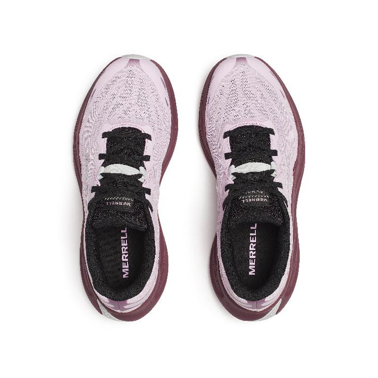 Merrell ProMorph Amethist
